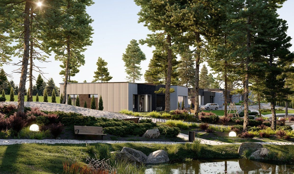 elektrenu rezidencija magnus kredito unija busto paskola elektrenai